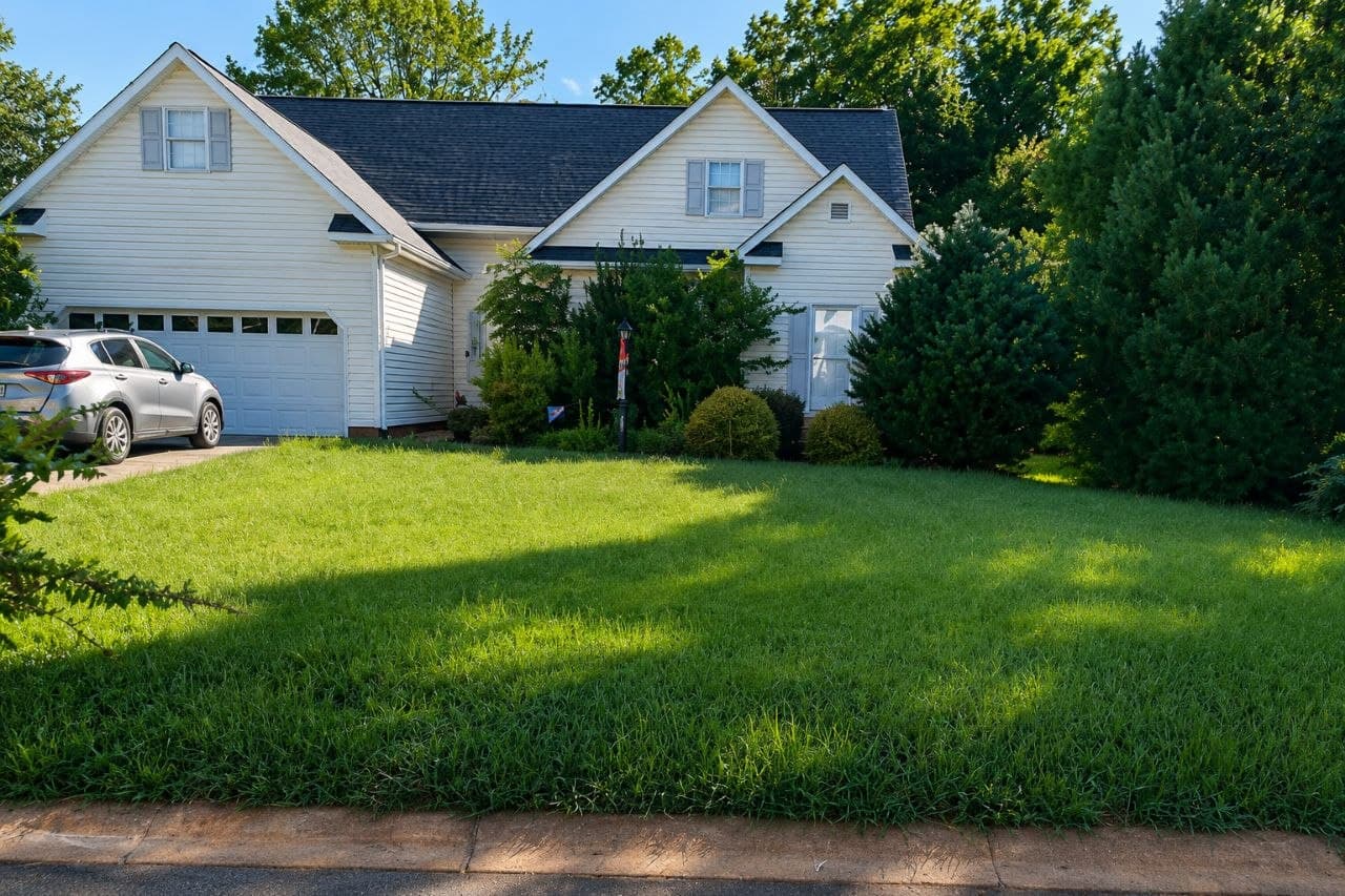 Lawn before service